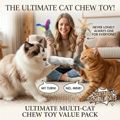 Cat Toy Rabbit Fur Feather 6pcs Gall Fruit Treat Kitten Kick Indoor