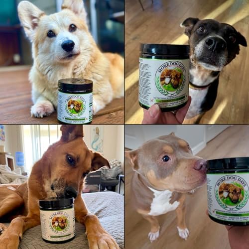 Anti-Aging & Immune Support | Organic, Human-Grade Ingredients | Medicinal Plants & Mushroom Extracts | Omega 3's, Antioxidants, Probiotics, Vitamins & Minerals | Plant-Based & Vegan