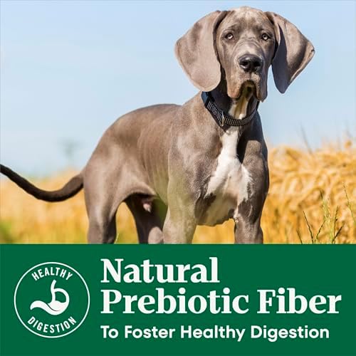 Nutro Natural Choice Adult Dry Dog Food, Lamb & Brown Rice Recipe, 12 lb