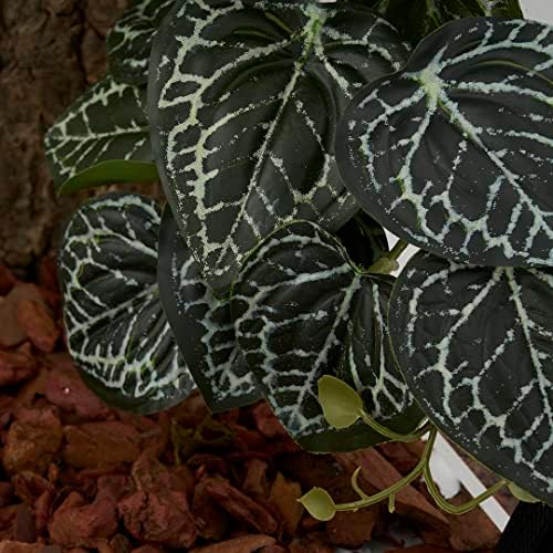 2Pack Fake Anthurium Crystallinum, Reptile Terrarium Decor Plants