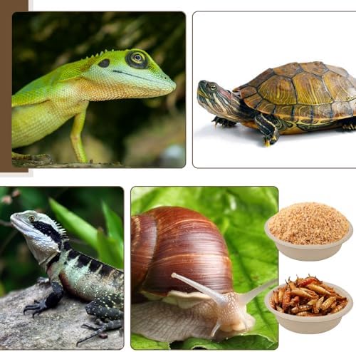 400 Pcs 1 oz Paper Feeding Cups for Reptiles and Small Pets