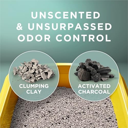 Purina Tidy Cats Free and Clean Unscented Clumping Cat Litter, 16 lb Bag