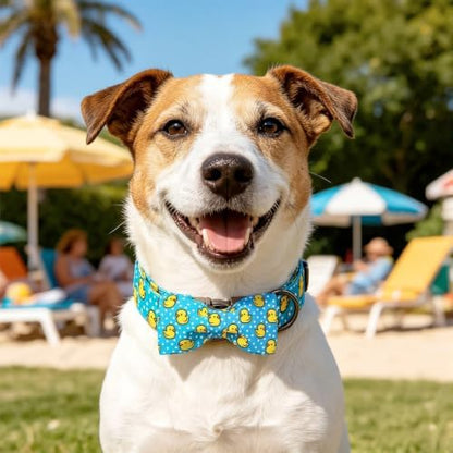 Summer Blue Rubber Duck Dog Collar with Bow for X-Large Dogs