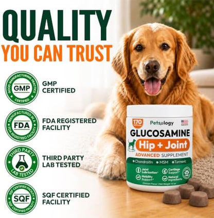 (2 Pack) Glucosamine for Dogs, 340 Chews, Hip and Joint Supplement for Dogs