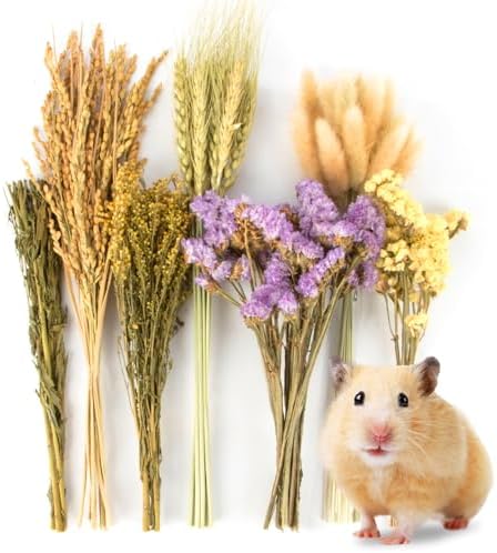 Sukh 60PCS Hamster Sprays - Natural Flower Herb Bedding & Habitat Decor