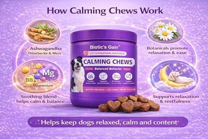Biotic’s Gain Calming Chews for Dogs | Dog Calming Treats | 120 Soft Chews