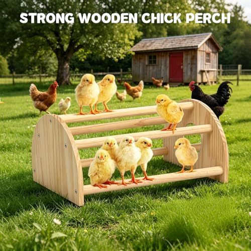 Pine Chicks Perch with Mirror, Strong Chick Jungle Gym Roosting Bar, Chicken Perch Toys for Coop and Brooder, Training Perch Toys for Large Bird, Parrot, Macaw, Hens (Large)