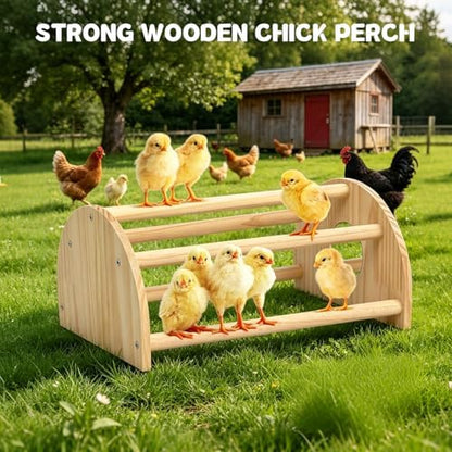 Pine Chicks Perch with Mirror, Strong Chick Jungle Gym Roosting Bar, Chicken Perch Toys for Coop and Brooder, Training Perch Toys for Large Bird, Parrot, Macaw, Hens (Large)