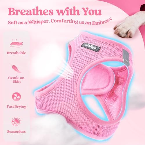 rabbitgoo Dog Harness Medium Sized and Leash Set, Step-in Puppy Pet Vest