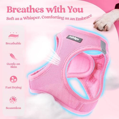 rabbitgoo Dog Harness Medium Sized and Leash Set, Step-in Puppy Pet Vest