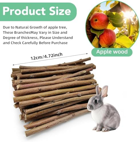 Jorewood 1 LB (16oz) Natural Apple Wood Chew Sticks for Rabbits, Hamsters, Chinchillas - Extra Hard Teeth Grinding Toy | Untreated, Safe & Long-Lasting Rodent Chews