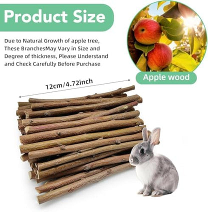 Jorewood 1 LB (16oz) Natural Apple Wood Chew Sticks for Rabbits, Hamsters, Chinchillas - Extra Hard Teeth Grinding Toy | Untreated, Safe & Long-Lasting Rodent Chews
