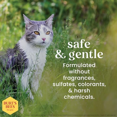Burts Bees for Pets Waterless Cat Shampoo Spray, 10 Fl Oz, 2-Pack