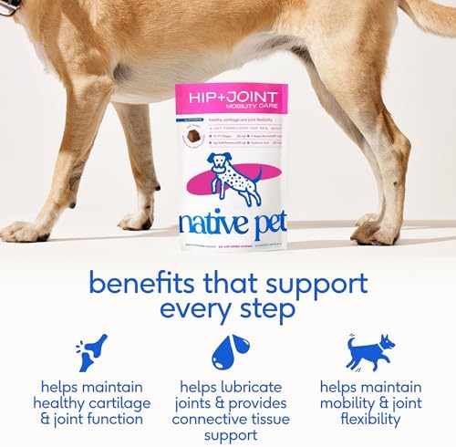 Native Pet Mobility Care - Hip & Joint Supplement for Dogs - UC-II Collagen, Egg Shell Membrane & Hyaluronic Acid - Dog Joint Supplement Chews Supports Cartilage, Mobility & Flexibility - 120 Chews