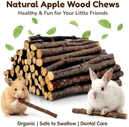 Sukh 340g Organic Apple Sticks - Natural Chew Sticks for Rabbits & Rodents