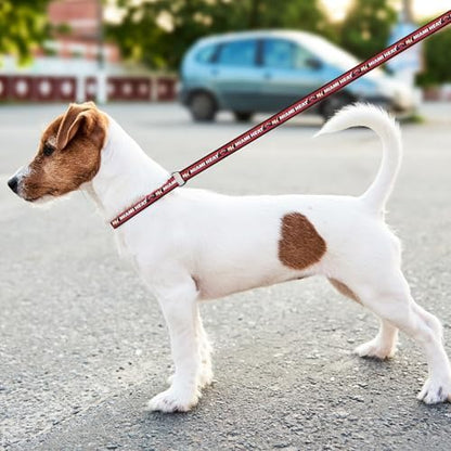 NBA Miami Heat Dog Leash, Size Small. Heavy-Duty Metal Swivel Buckle Pet Leash