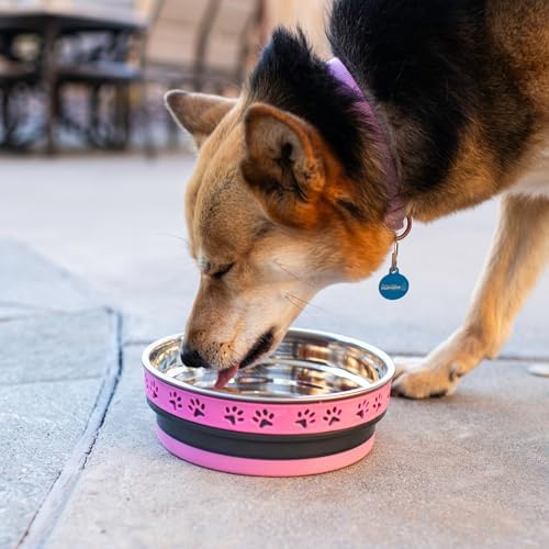Loving Pets Corsa Dog Bowls- Stainless Steel Dog & Cat Bowls - Spill Proof Dog Food Bowl, Cat Bowl, Puppy Essentials & Pet Supplies Great for Home & Travel (Large 35-65 lbs, Fiery Pink)