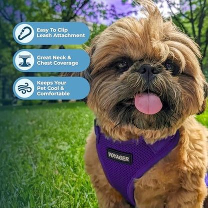 Best Pet Supplies Voyager Step-in Lock Pet Harness w Reflective Pet Leash Combo Set with Neoprene Handle 5ft - Supports Small, Medium and Large Breed Puppies/Cats - Purple, XL