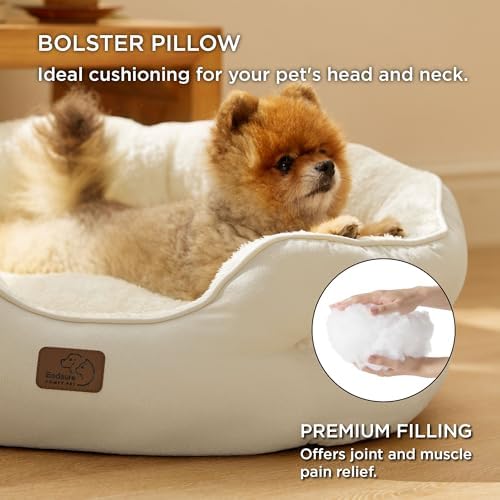 Bedsure Small Dog Bed Washable,Round Cat Beds for Indoor Cats,25in Ivory