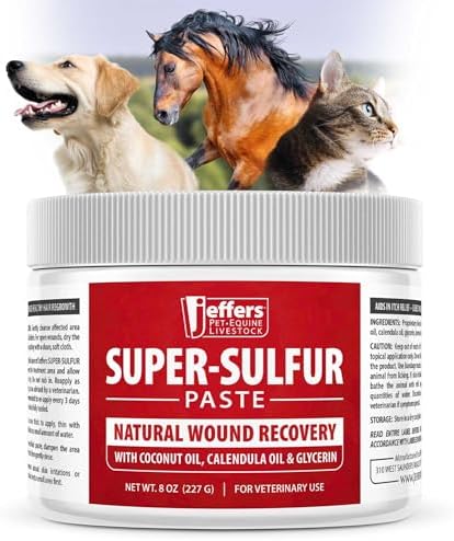 Jeffers Super Sulfur Natural Healing Paste for Dogs, Cats & Horses 8 oz – Wound Care, Skin & Coat Support for Animals, Soothes Itching & Inflammation, Dry Rough Flaky Skin, Hot Spots, Paw, Hoof Care