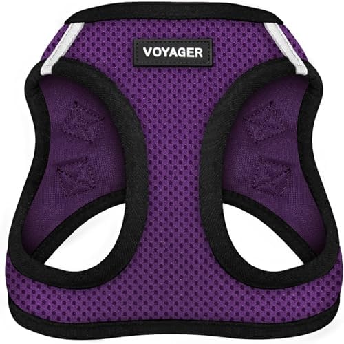 Voyager Step-in Air Dog Vest Harness - Purple/Black Trim, Small
