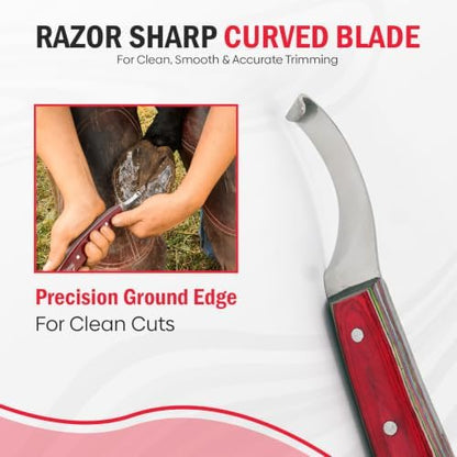 Equine Care Farrier Hoof Knife, Right-Handed, Brass Cap for Horse Shoeing