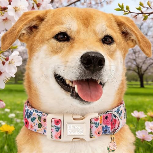 Spring Light Pink Floral Print Dog Collar for Small Dogs