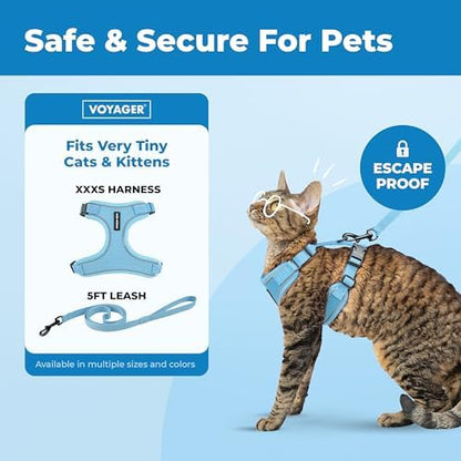 Voyager Escape-Proof Step-in Lock Cat Harness & 5ft Neoprene-Handle Leash Set All-Weather Mesh with Reflective Stitching for Small to Large Cats by Best Pet Supplies, Baby Blue (327), XXXS