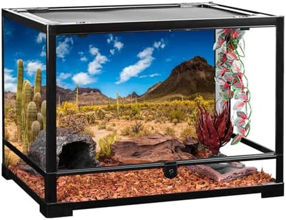 72x24 in Reptile Habitat Background Blue Sky Cactus Desert Tank Backdrop