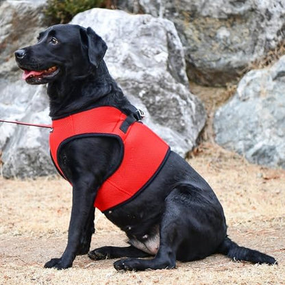 PUPPIA International Puppia Harness Soft B Vest RED Small