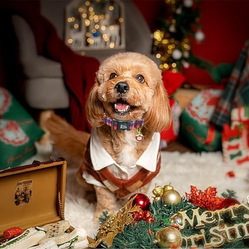 Dog Collar - Christmas Holiday Pet Collar, Red and Blue Plaid Print, Durable, Cute, Soft, Adjustable for Medium Dogs
