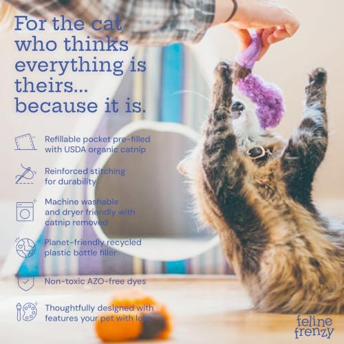 P.L.A.Y. PET Lifestyle and You Feline Frenzy Wiggly Worms Plush Squeaky CAT Toy