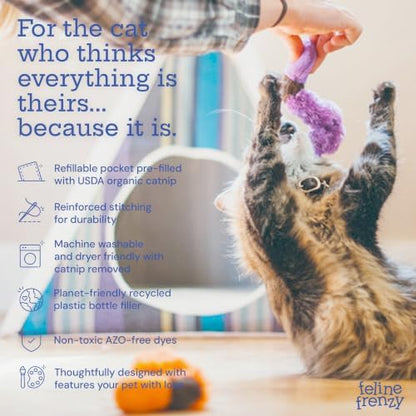 P.L.A.Y. PET Lifestyle and You Feline Frenzy Wiggly Worms Plush Squeaky CAT Toy