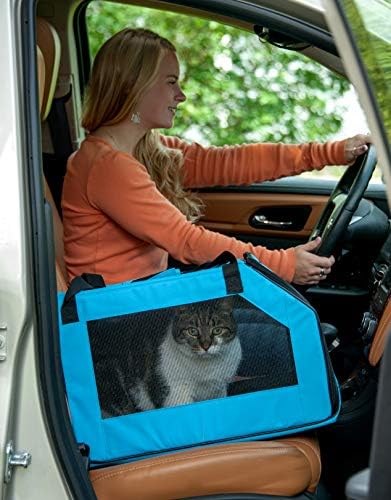 Pet Gear Carrier and Car Seat, Arctic Blue