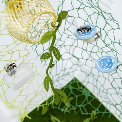 Jumping Spider Enclosure Accessories Set, 6 Pack with Carved Habitat Hideout, 2 Climbing Web, 2 Mushroom Decor, 1 Feeder
