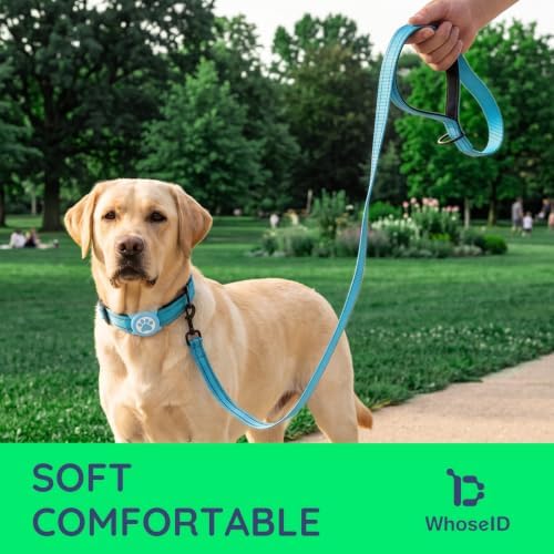 Airtag Dog Collar and Leash Set,Reflective Ultra-Durable Nylon Padded with QR Buckle & IP68 Waterproof Air Tag Holder Compatible for Apple AirTag, Comfortable for Small Medium Large Dogs (Blue Set,S)