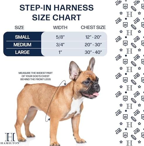 Hamilton Adjustable Nylon Dog Harness, Medium 3/4" x 20-30", Black
