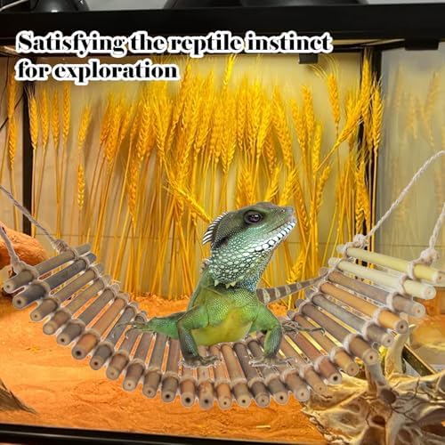 Reptile Bamboo Climbing Bridge,Lizard Ladder Hammock Bridge Bearded Dragon Hanging Bamboo Ladder Lounger Lizard Hammock Terrarium Vines Decor Reptile Habitat Tank Accessories for Chameleon Gecko