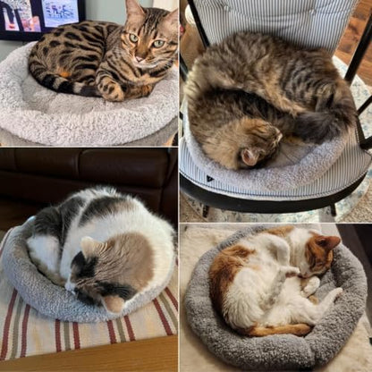 LESYPET Round Cat Bed, Soft Cat Donut Beds with Pillow Around, Machine Washable Pet Cushion for Cats/Rabbits/Small Dogs, Diameter 15.75"