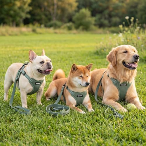 Best Pet Supplies Voyager Adjustable Step-in Flex Breathable Mesh Dog Harness for Small Medium Large Dogs Leash Set (Moss Green), M
