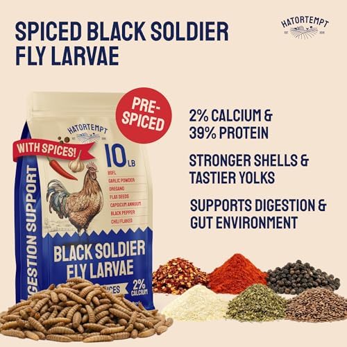 Hatortempt 10lb Black Soldier Fly Larvae for Chickens with Digestive Spices