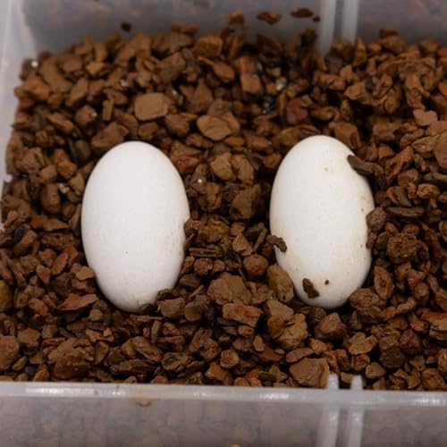 Pangea Hatch Premium Reptile Egg Incubation Substrate (8 lb)