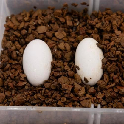 Pangea Hatch Premium Reptile Egg Incubation Substrate (8 lb)
