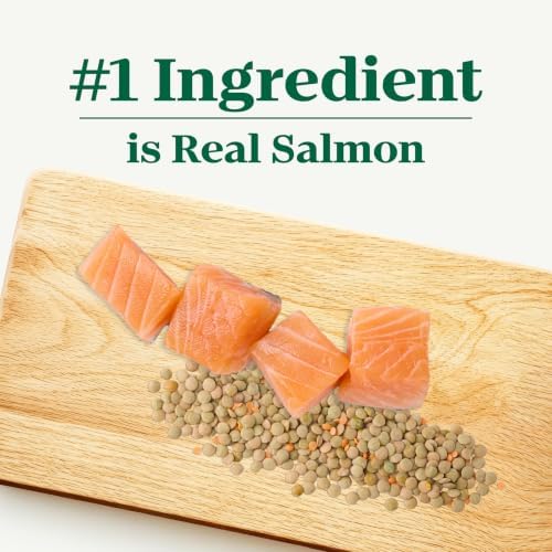 Nutro Limited Ingredient Diet Dry Dog Food, Salmon & Lentils, 22 lb