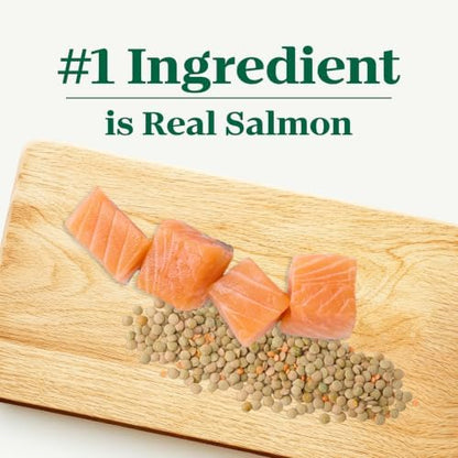 Nutro Limited Ingredient Diet Dry Dog Food, Salmon & Lentils, 22 lb
