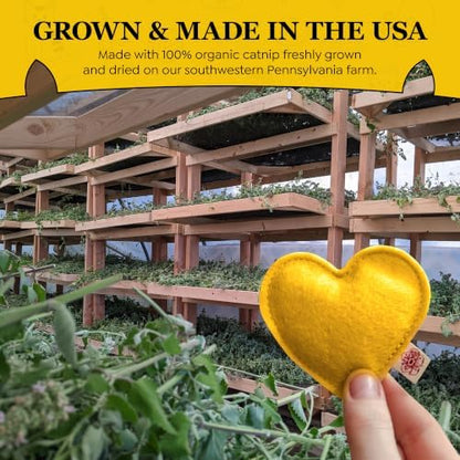 Catnip Toy – Heart Shape, Organic Catnip, 100% Wool Felt, Grown & Made in The USA - Yellow, 4 Pack