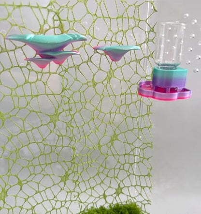 5Pcs Jumping Spider Accessories Set, Jumping Spider Enclosure Mushroom And Water Dispenser, Jumping Spider Web with Magnets, Jumping Spider Enclosure Climbing and Feeding Platforms (pink+purple)