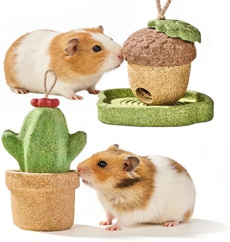 Guinea Pig Toys 2 Pack Guinea Pig Chew Toys Rabbit Treats Hamster Toys