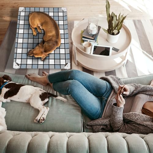 Caghash Elevated Outdoor Raised Dog Bed, Lifted Dog Cot for Medium Pet