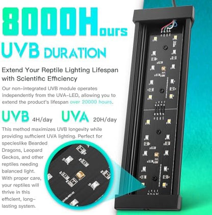 Dimmable LED Reptile UVB Lamp, 8000 Hours UVB Duration for Much Longer Lifespan, Adjustable 4/8/12-Hour Cycles, Suitable for Tortoise and Gecko, 4W, S Size